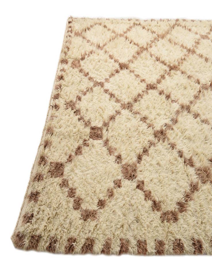 Detail image of 9' 10 x 13' 8  Hand Knotted Moroccan Wool Rug