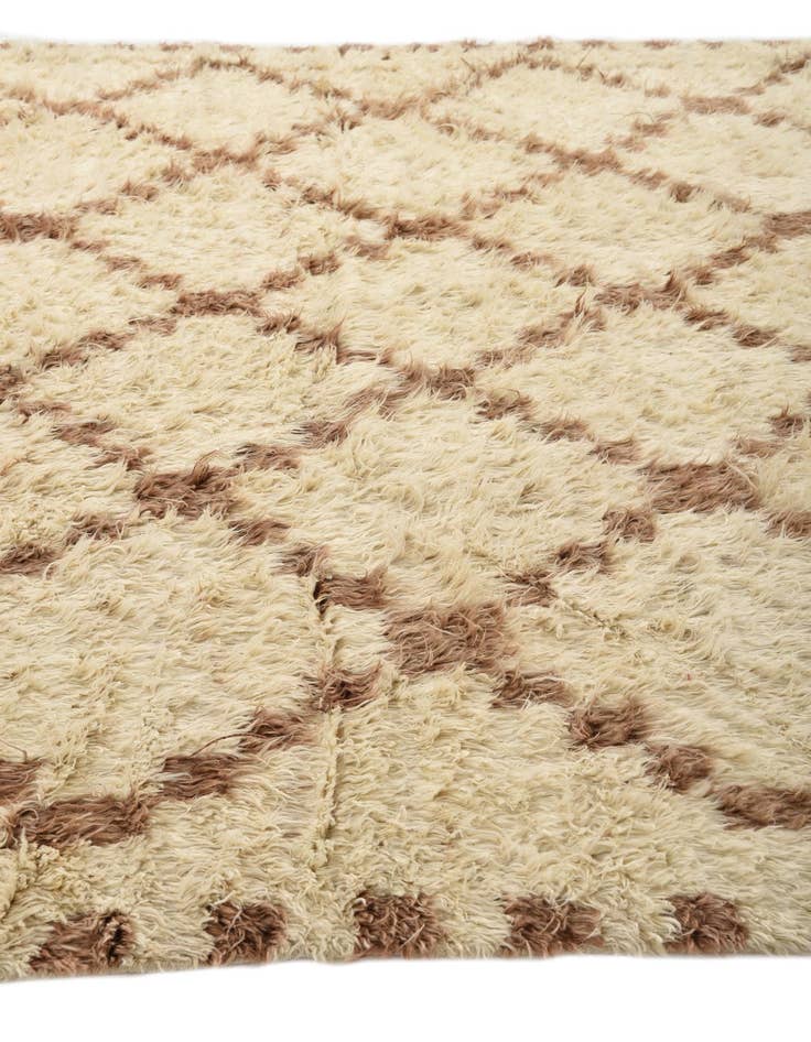 Detail image of 9' 10 x 13' 8  Hand Knotted Moroccan Wool Rug