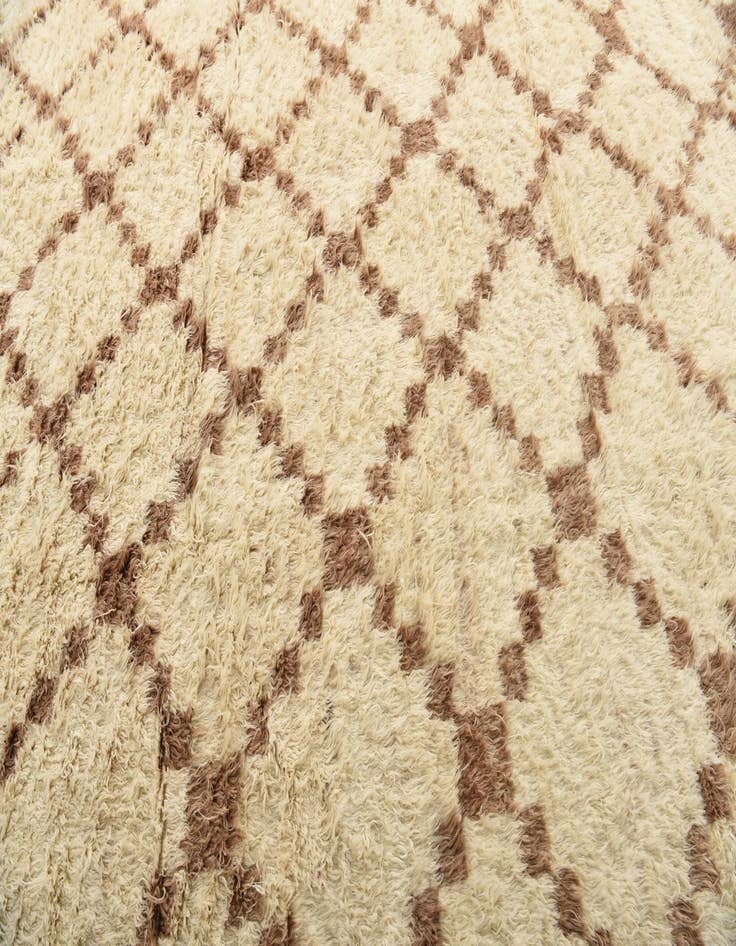 Detail image of 9' 10 x 13' 8  Hand Knotted Moroccan Wool Rug