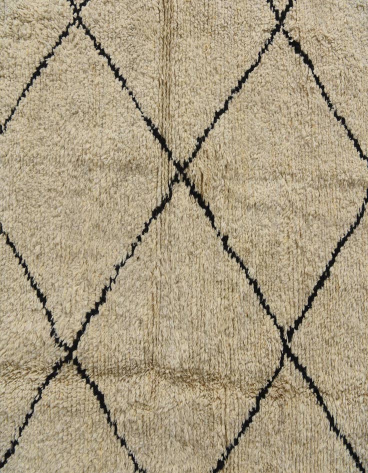 Detail image of 8' x 10' 2  Hand Knotted Moroccan Wool Rug