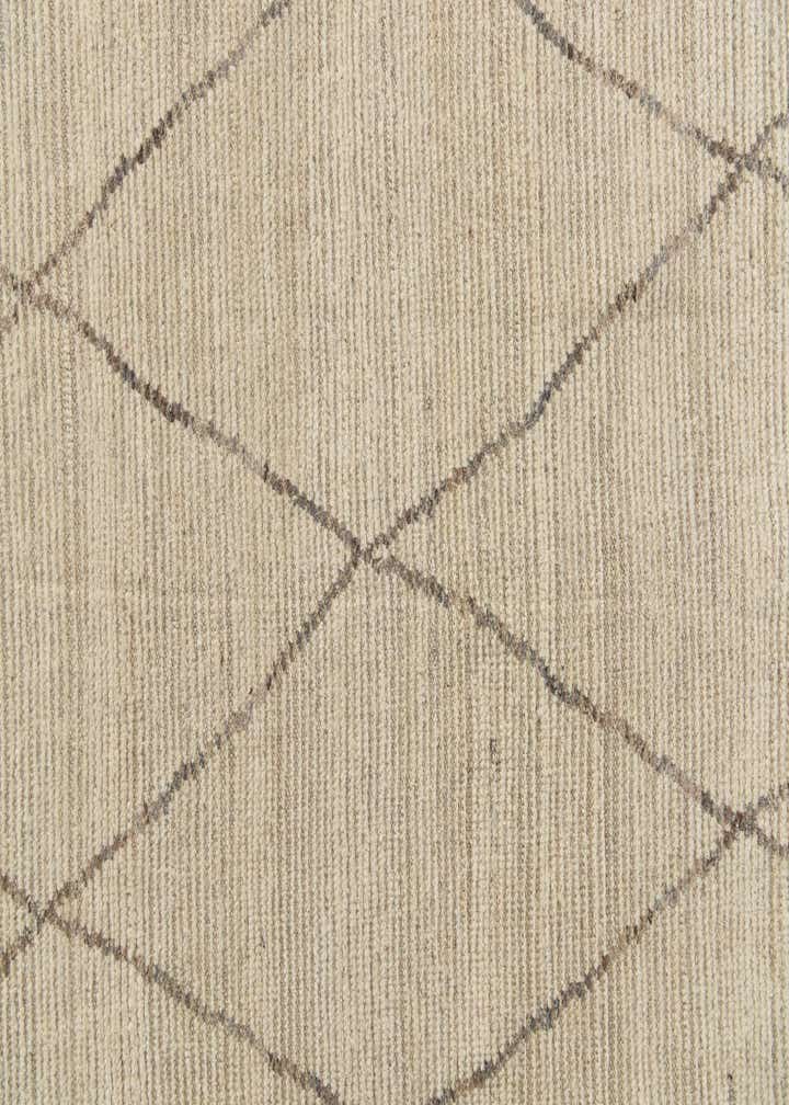 7' 9 x 10' 7 Hand Knotted Moroccan Wool Rug