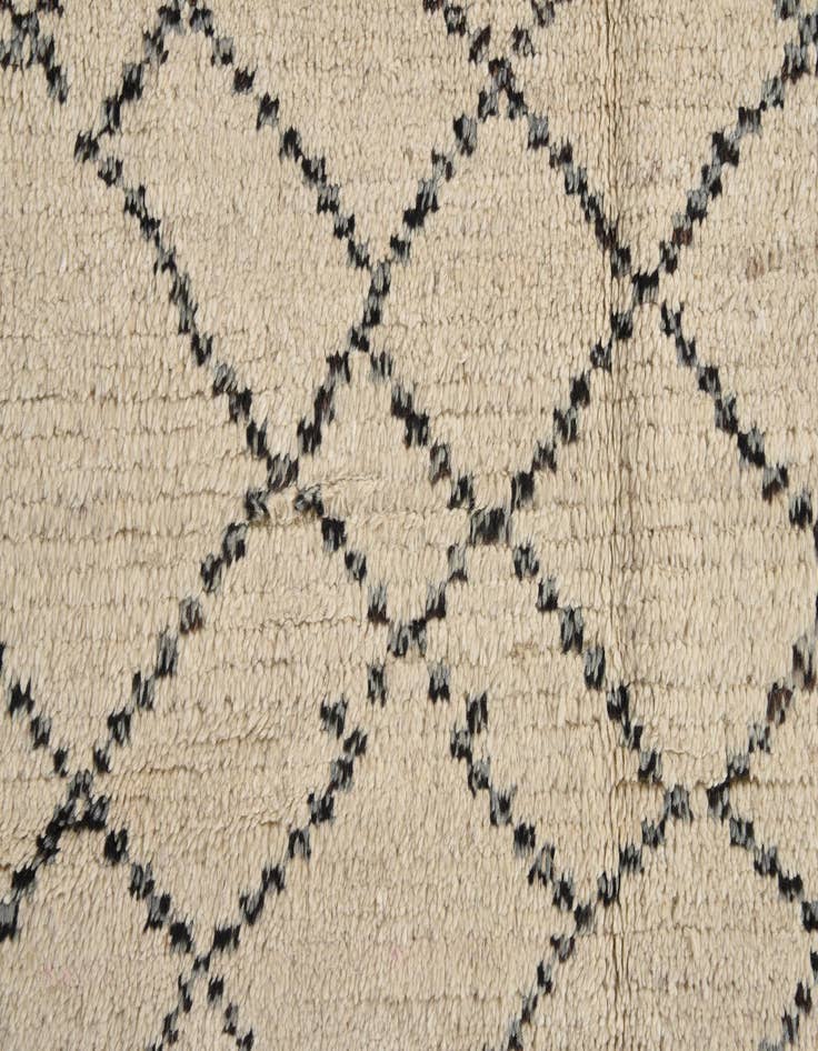 Detail image of 8' x 10' 3  Hand Knotted Moroccan Wool Rug