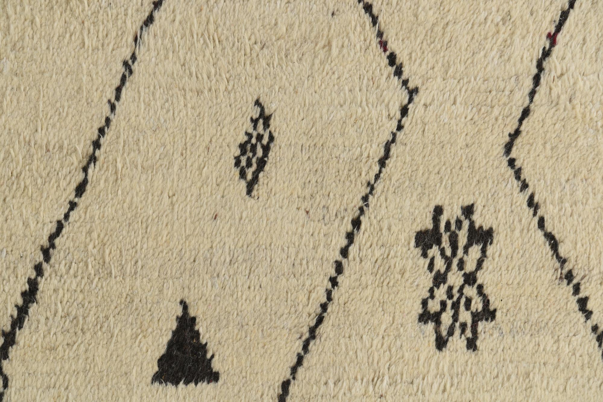 10' x 14' 8 Hand Knotted Moroccan Wool Rug