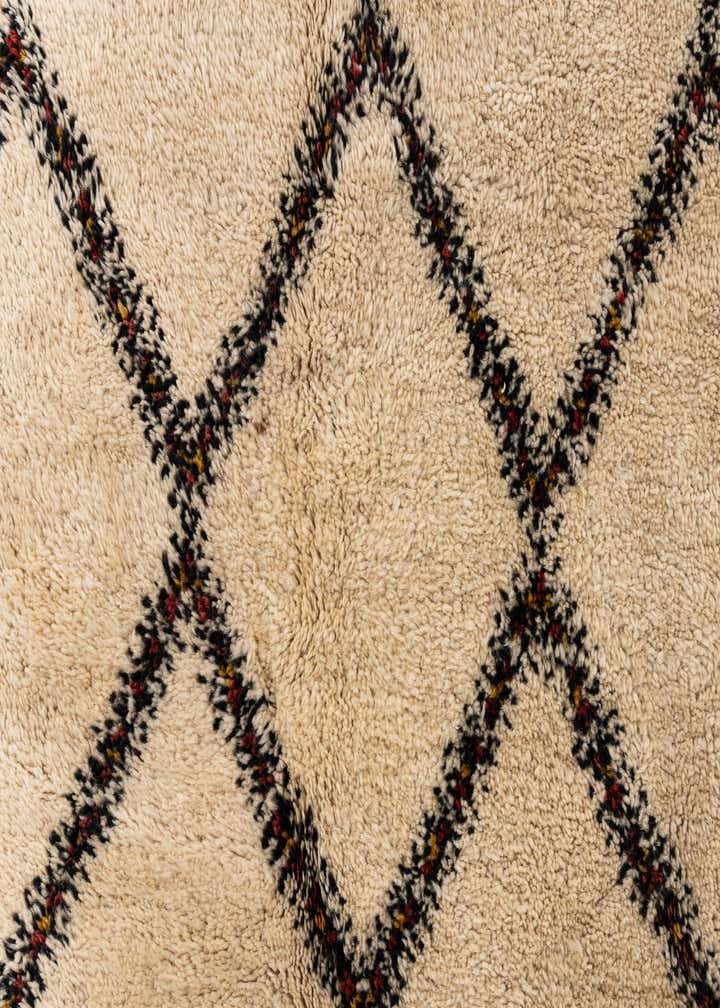 8' 9 x 11' 3 Hand Knotted Moroccan Wool Rug