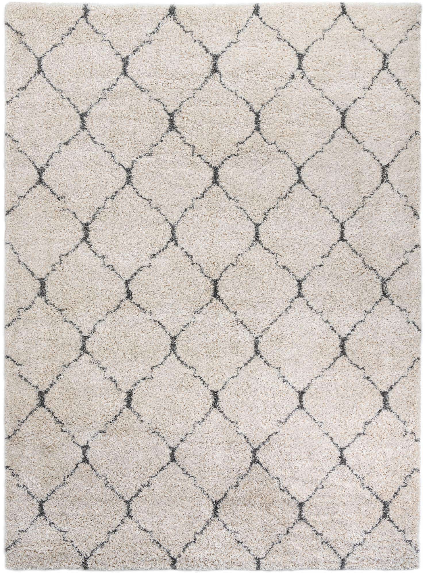 9' 10 x 13' Moroccan Shag Rug