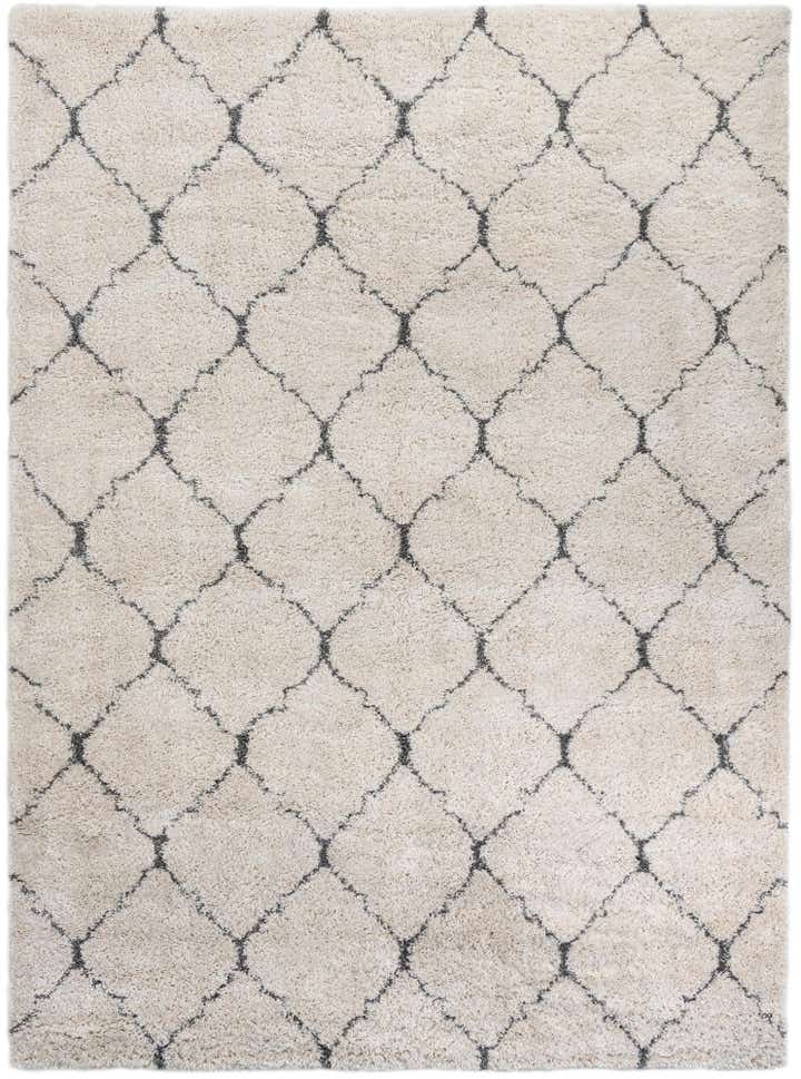 9' 10 x 13' Moroccan Shag Rug