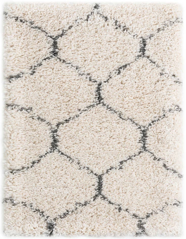 Detail image of 2' 2 x 3' Moroccan Shag Rug