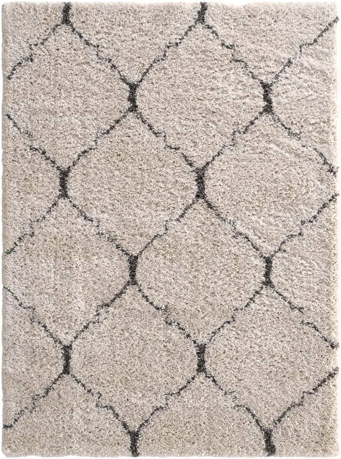 Detail image of 5' 3 x 7' Moroccan Shag Rug