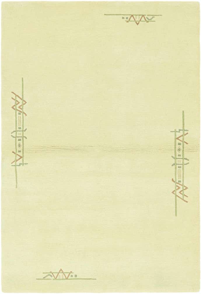 4' x 6' Hand Knotted Nepal Wool Rug