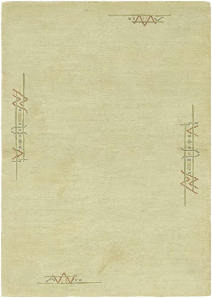 4' x 6' Hand Knotted Nepal Wool Rug