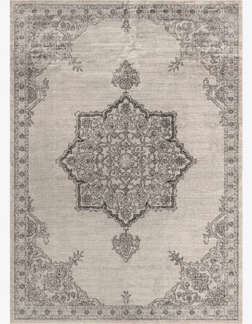10' x 14' Nyla Rug