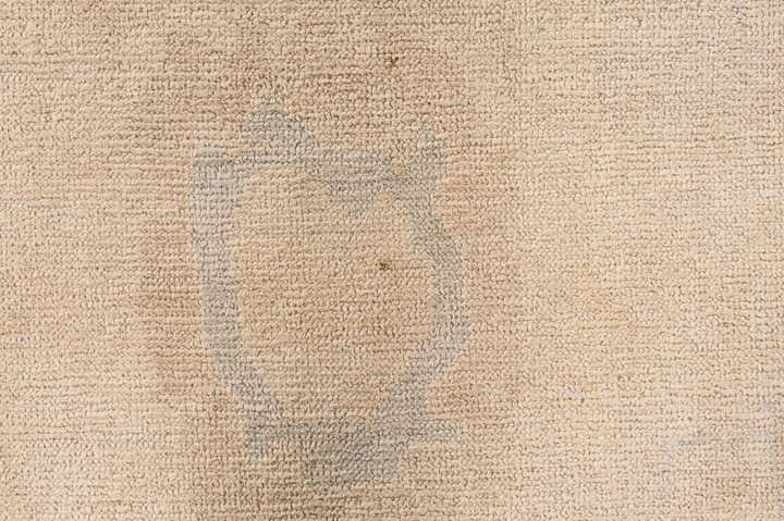 8' 9 x 11' 9 Hand Knotted Oushak Wool Rug