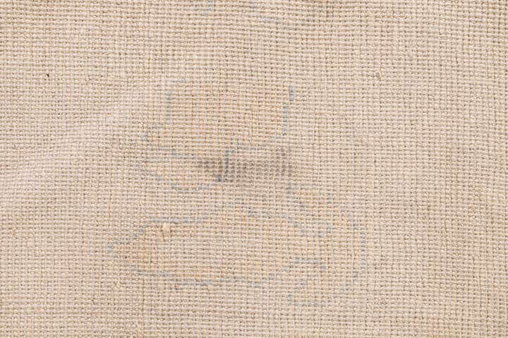 8' 9 x 11' 9 Hand Knotted Oushak Wool Rug