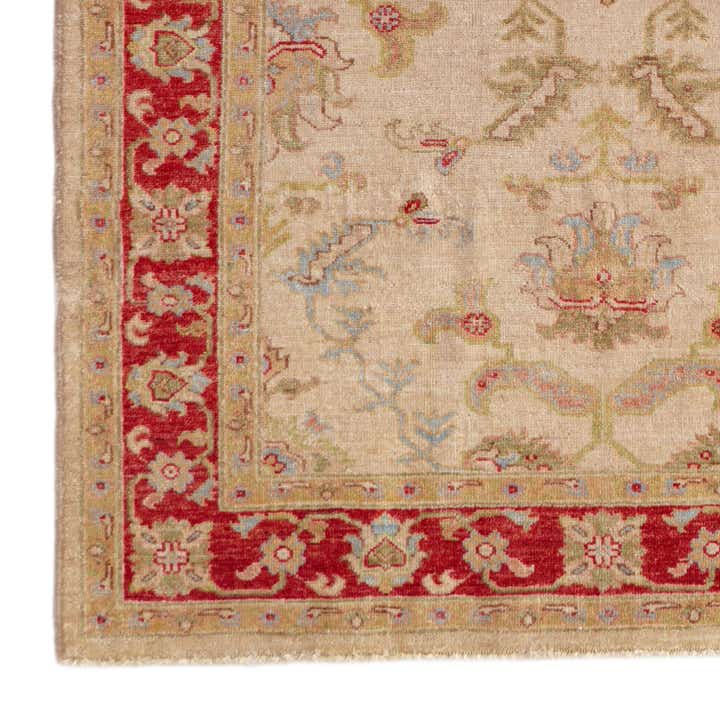 4' 1 x 5' 10 Hand Knotted Peshawar Ziegler Rug