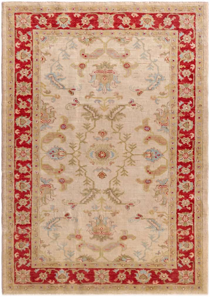 4' 1 x 5' 10 Hand Knotted Peshawar Ziegler Rug