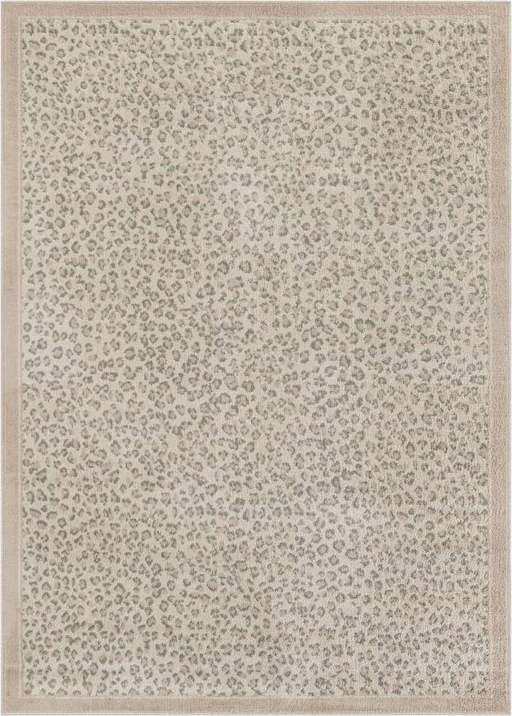 4' x 6' Savannah Rug