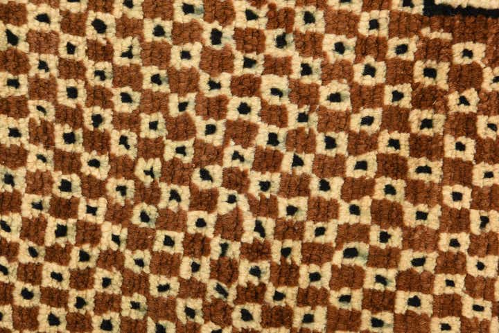 4' 10 x 8' Hand Knotted Shiraz Persian Wool Rug