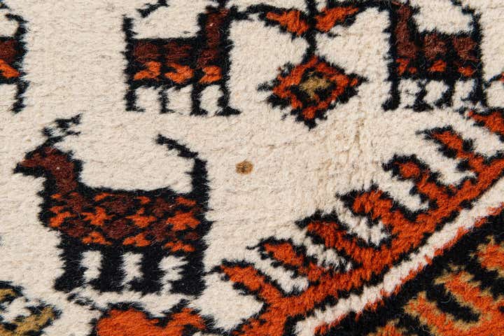 6' 8 x 10' Hand Knotted Shiraz Wool Rug