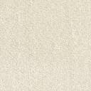 Rug Ivory Swatch link