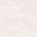 Rug Ivory Swatch link
