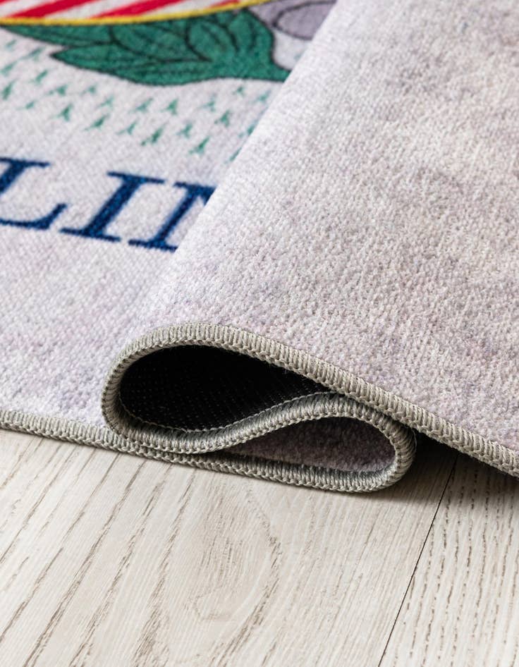 Detail image of 4' x 6' Illinois The Flag Collection Rug