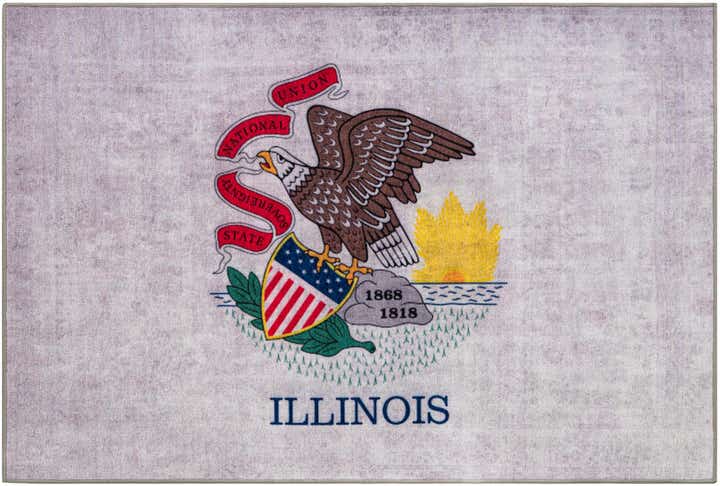 7' x 10' Illinois The Flag Collection Rug