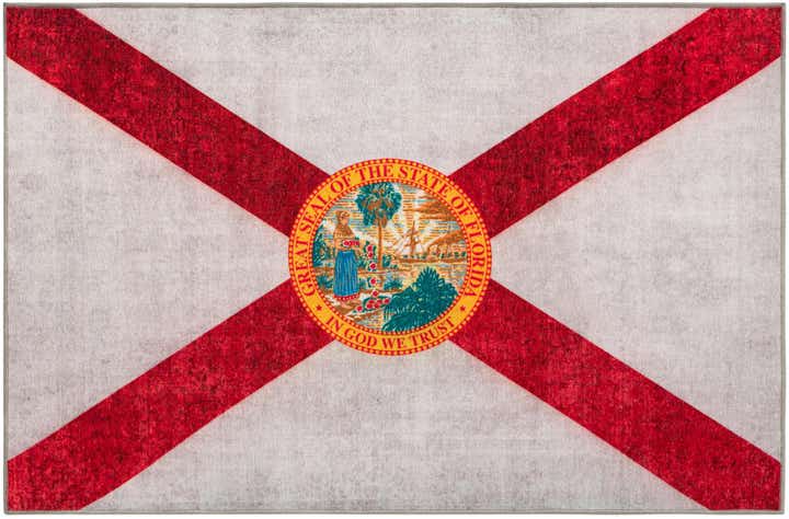 2' x 3' Florida The Flag Collection Rug
