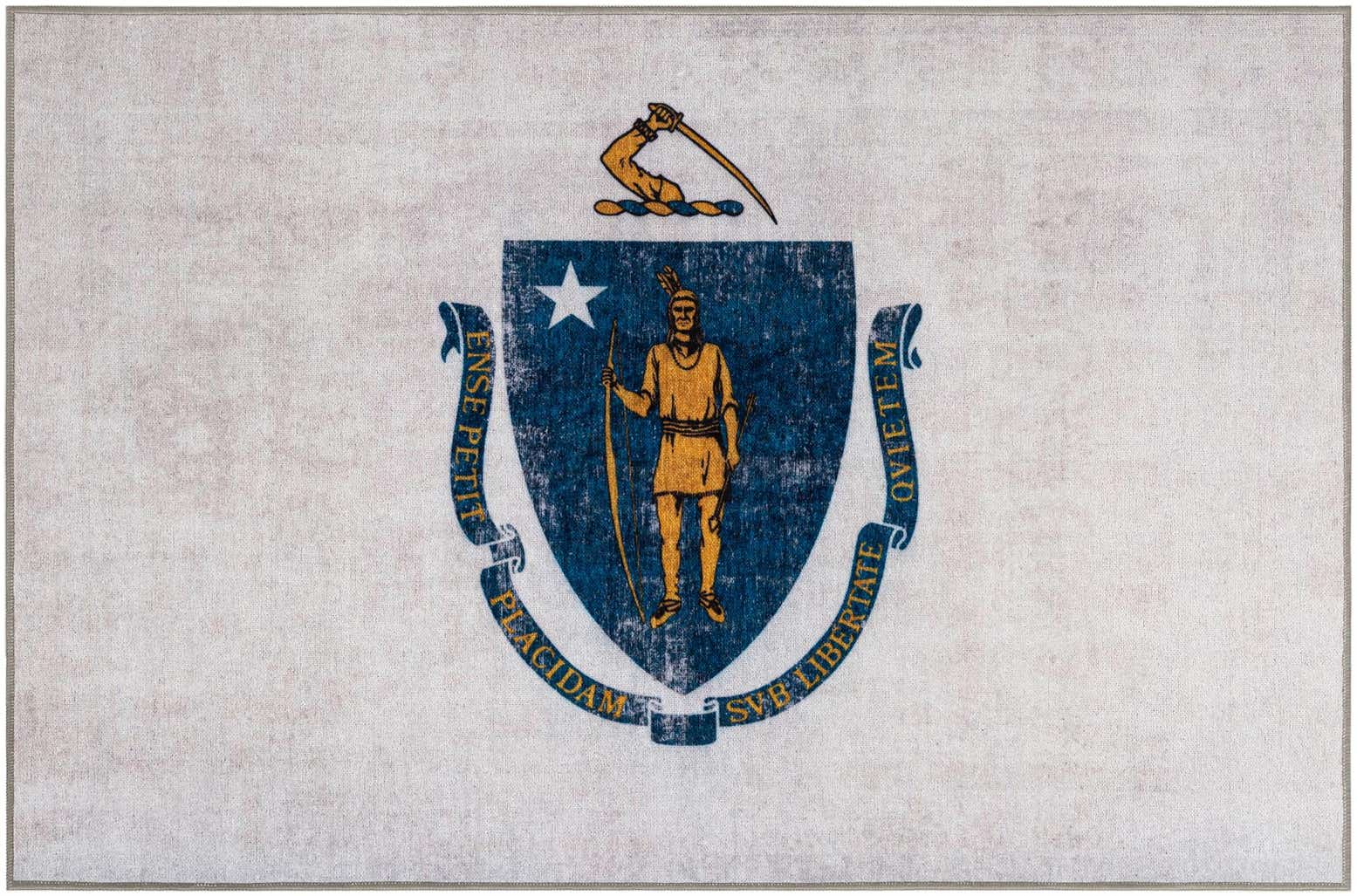 9' x 12' Massachusets The Flag Collection Rug