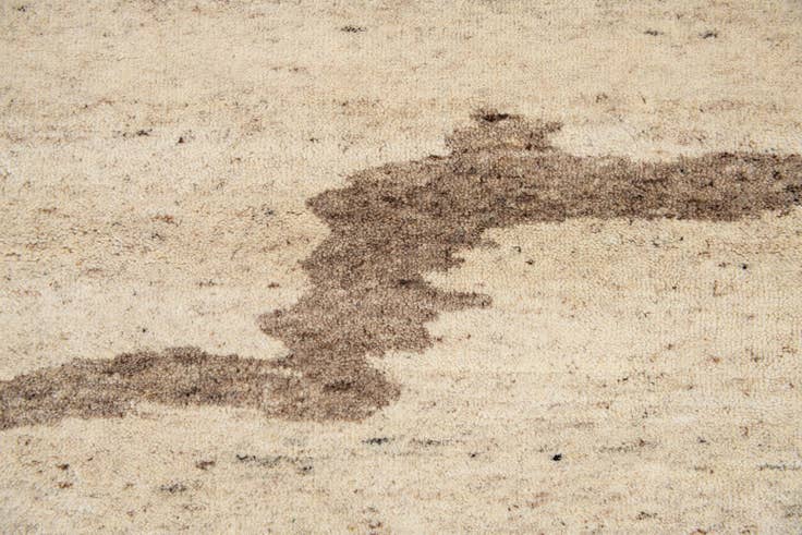 Detail image of 4' 1 x 6' Hand Knotted Tibet Wool Rug