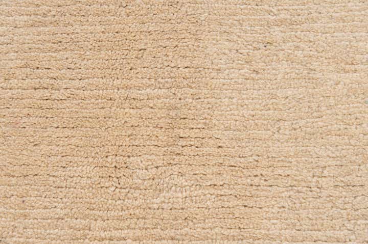 8' 5 x 11' 7 Hand Knotted Tibet Wool Rug