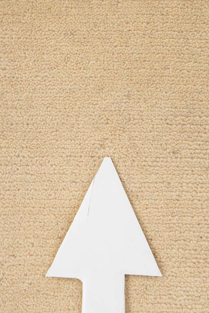 2' 2 x 3' 4 Hand Knotted Tibet Wool Rug