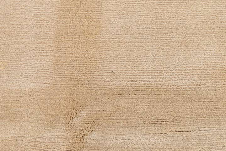8' 6 x 11' 4 Hand Knotted Tibet Wool Rug