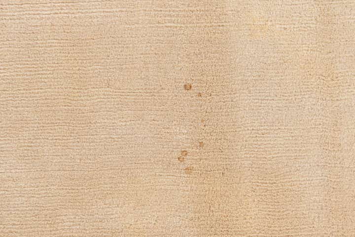 8' 6 x 11' 4 Hand Knotted Tibet Wool Rug