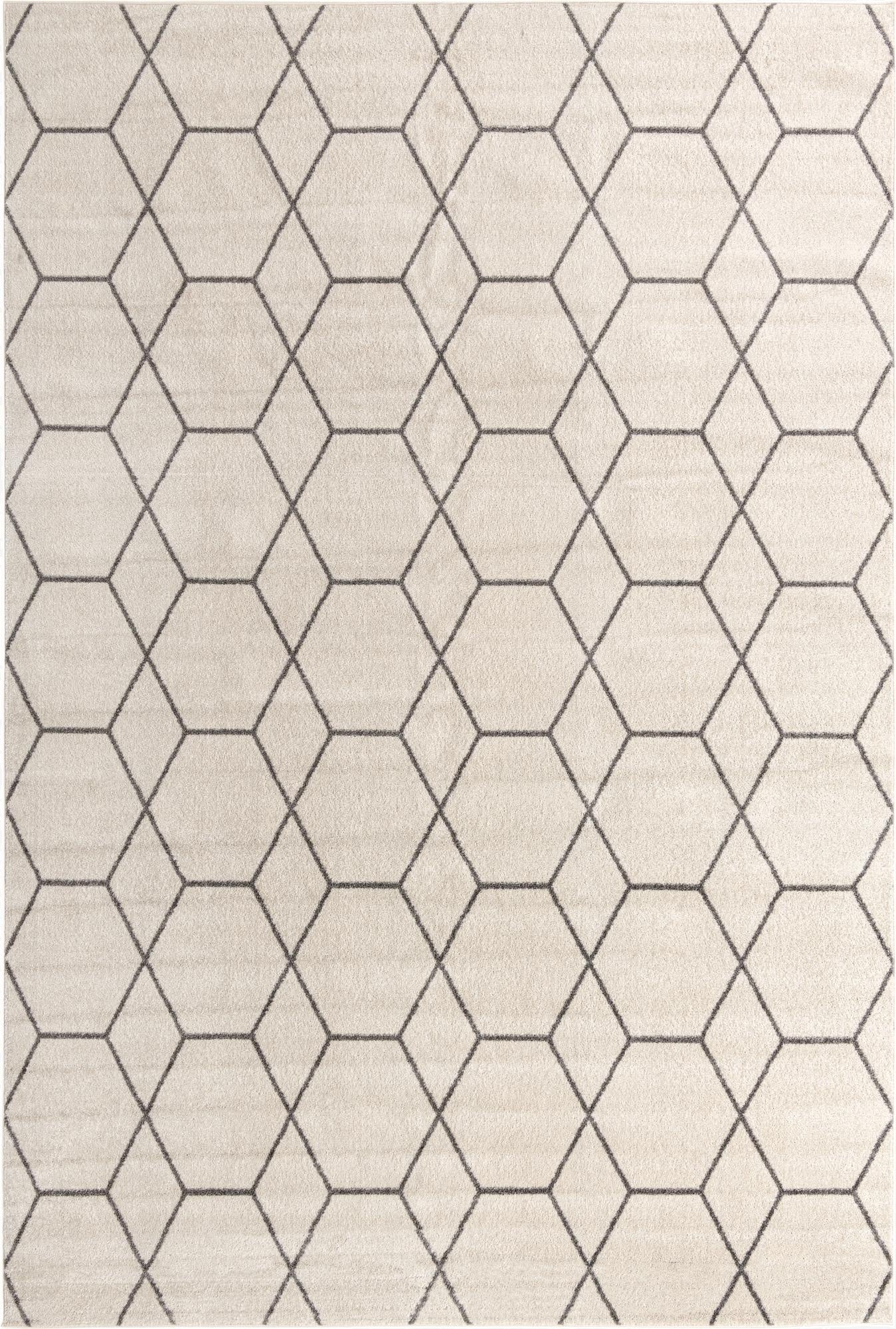 Primary image 6' x 9' Trellis Frieze Rug