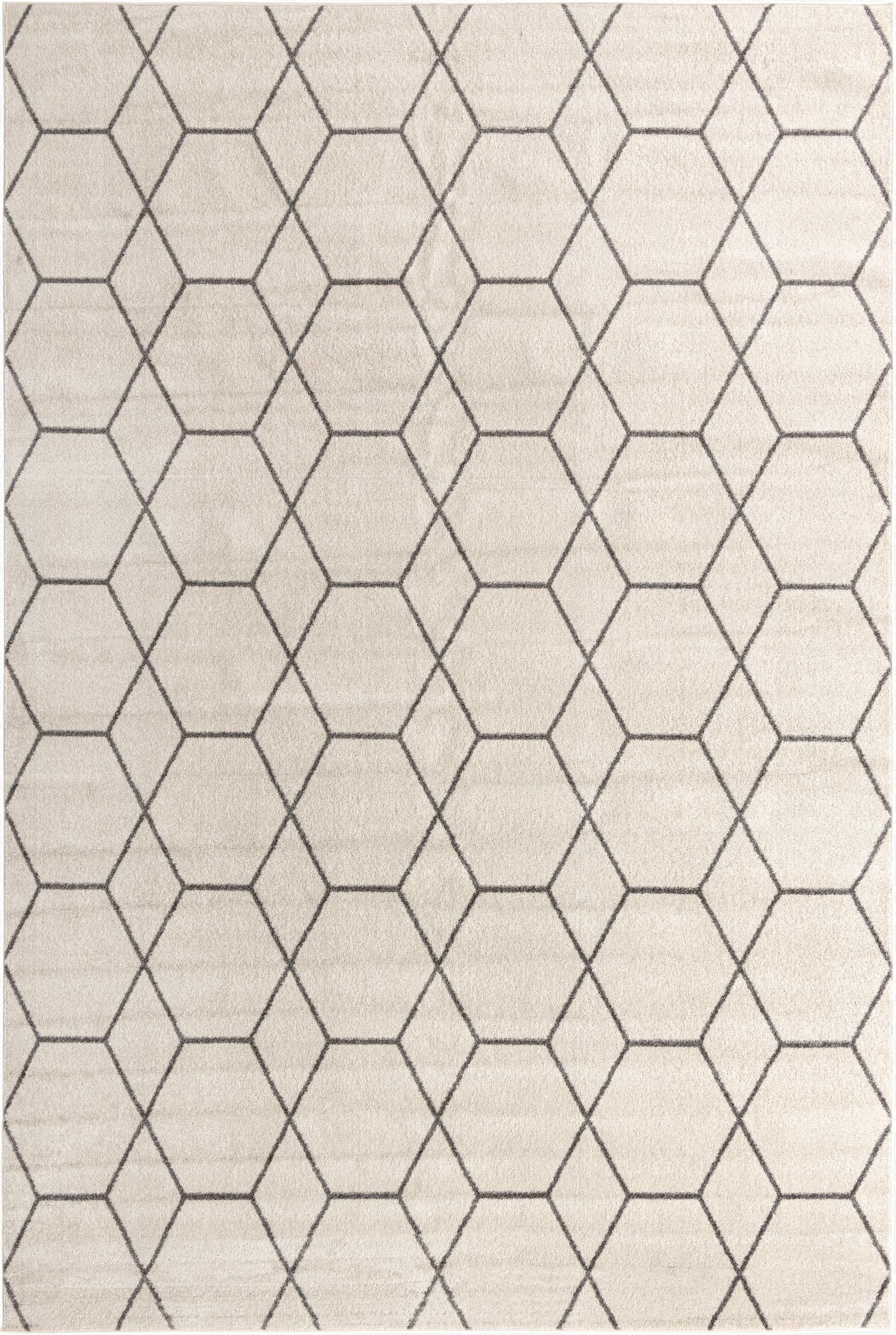 4' x 6' Trellis Frieze Rug