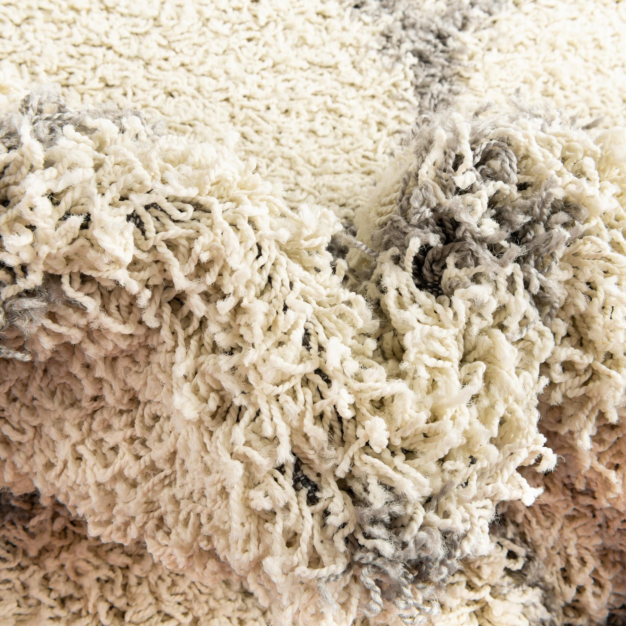 5' 3 x 8' Trellis Shag Rug