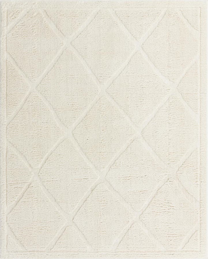 10' x 13' Trellis Shag Rug