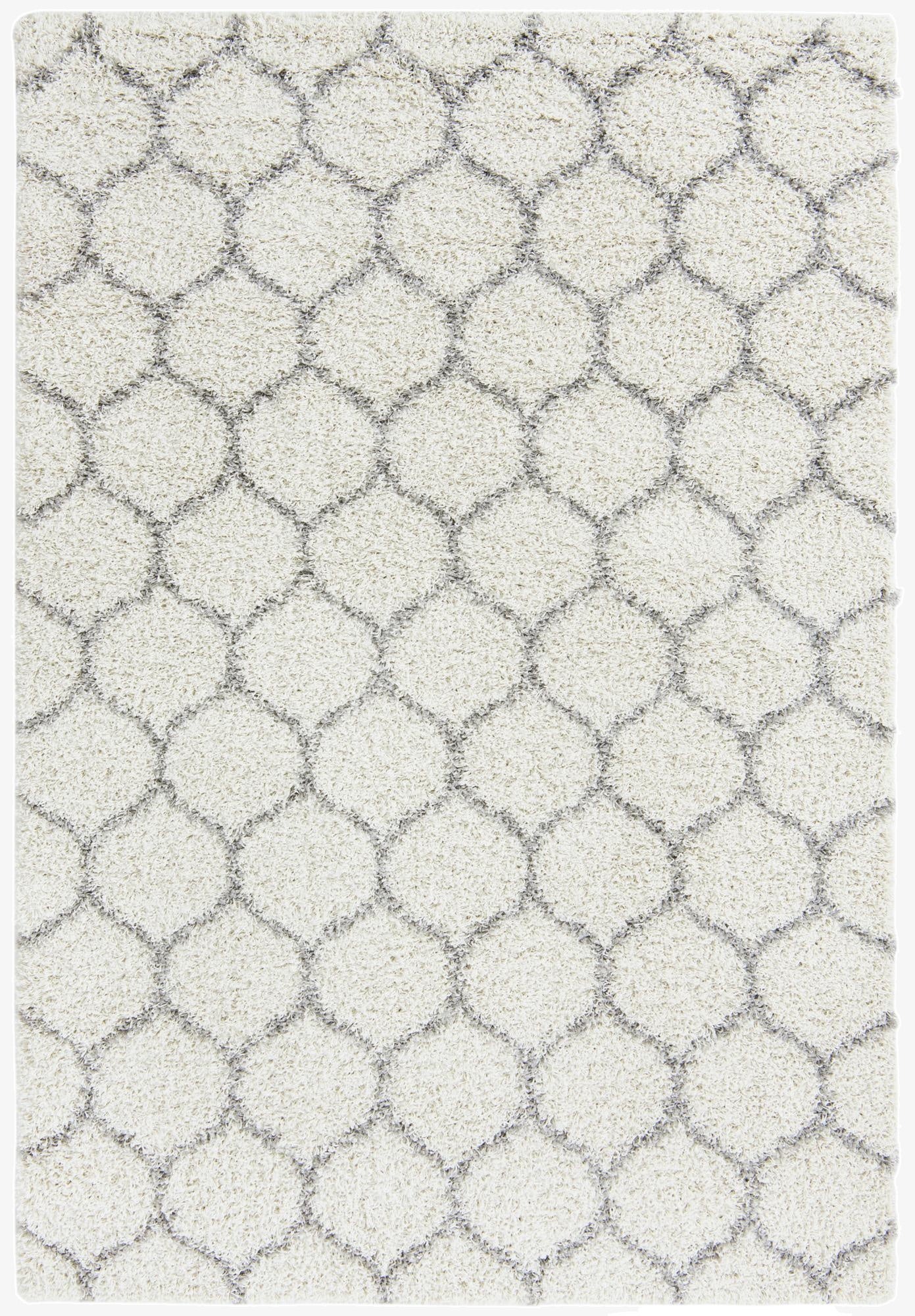 6' x 9' Trellis Shag Rug