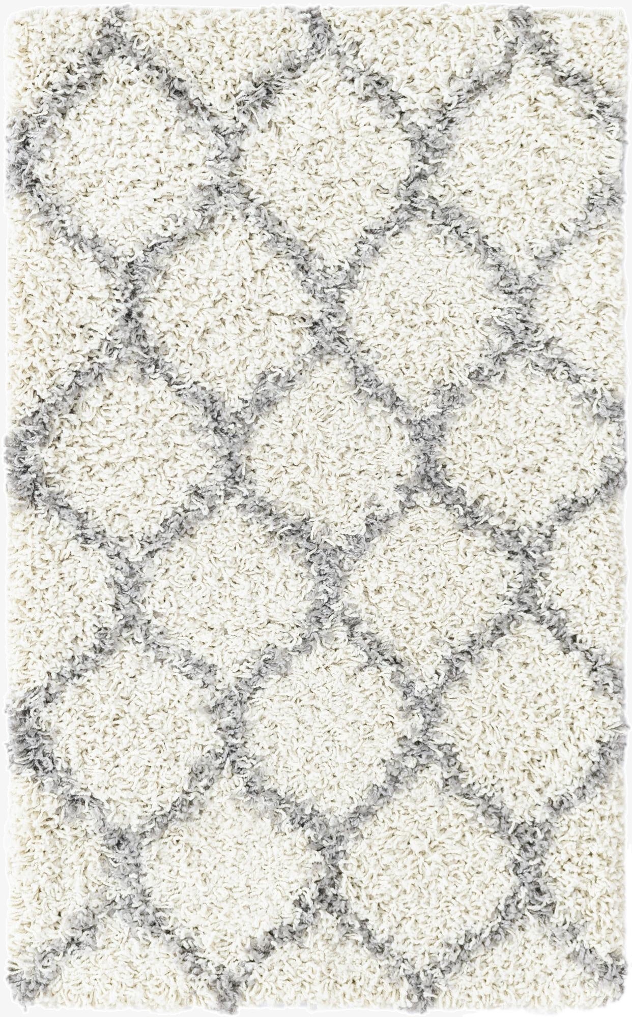 2' x 3' Trellis Shag Rug