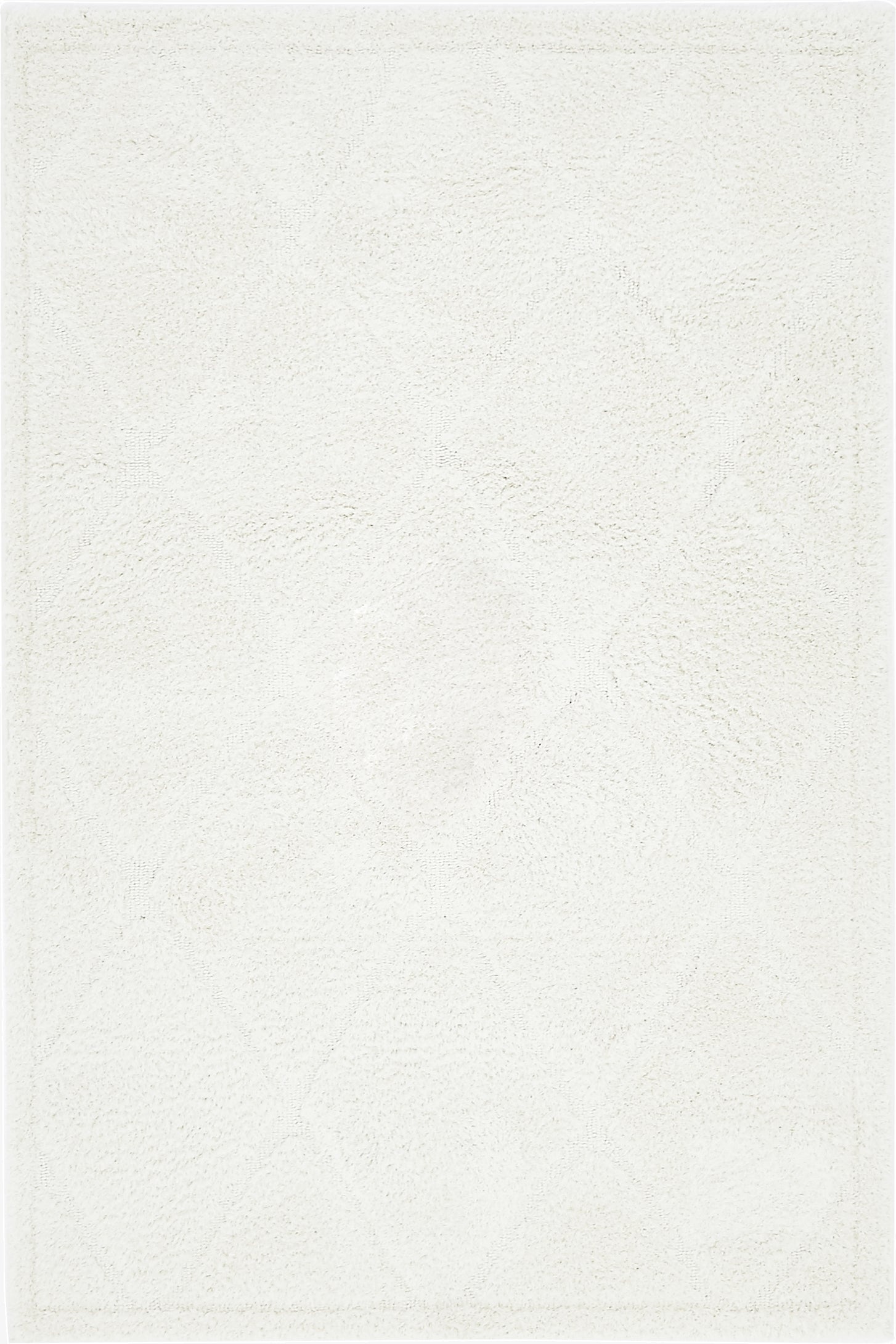 4' x 6' Trellis Shag Rug