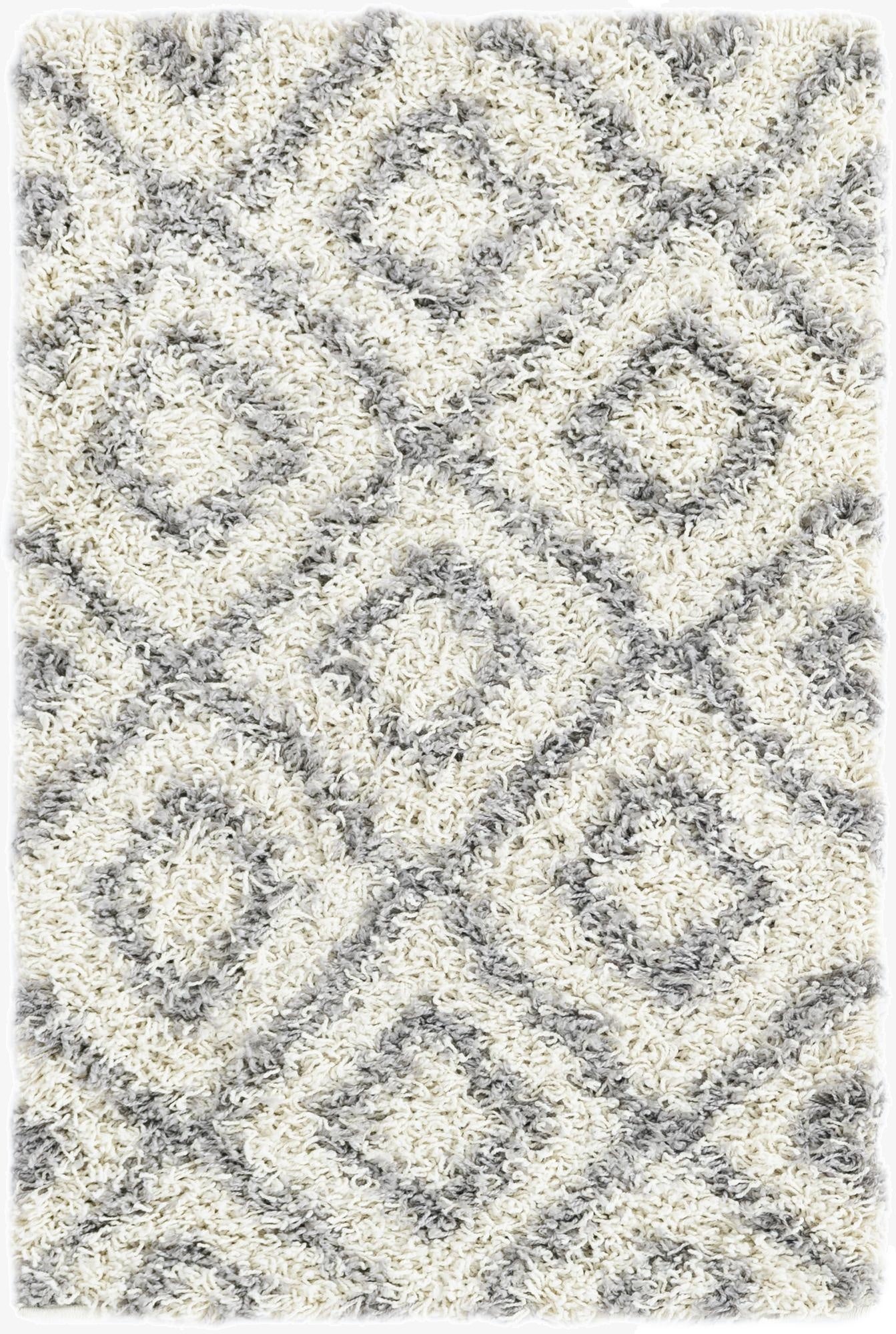 Primary image 2' x 3' Trellis Shag Rug