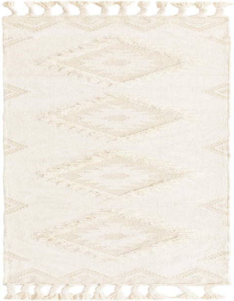 Detail image of 2' 7 x 10' Hand Woven Arizona Wool Runner Rug