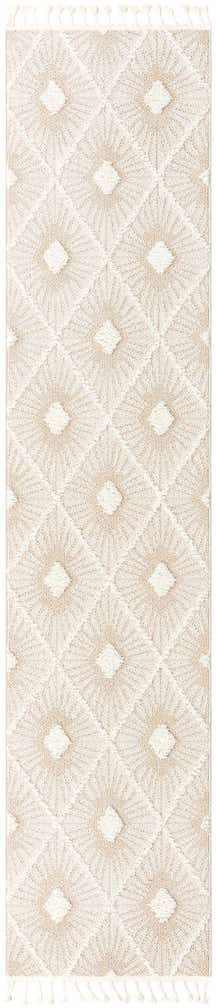 2' 7 x 12' Boho Runner Rug