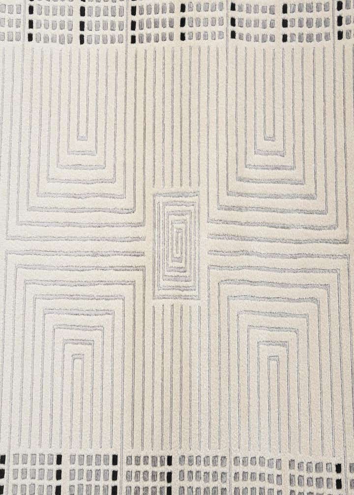 2' 8 x 9' 11 Hand Knotted Darya Wool Runner Rug