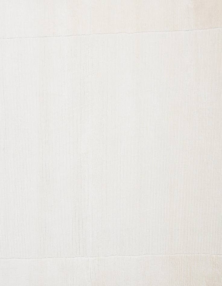 Detail image of 2' 7 x 10' 2  Hand Knotted Darya Runner Rug