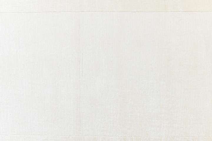 2' 7 x 9' 9 Hand Knotted Darya Wool Runner Rug