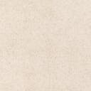 Rug Ivory Swatch link