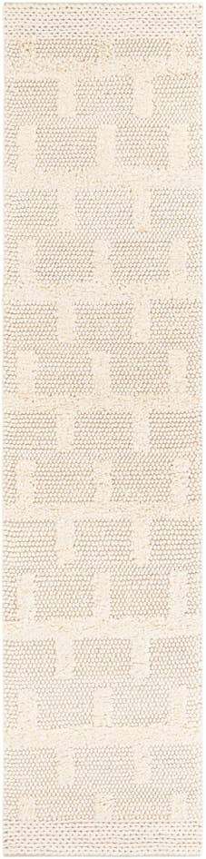 Detail image of 2' 7 x 12' Hand Woven Lana New Zealand Wool Runner Rug