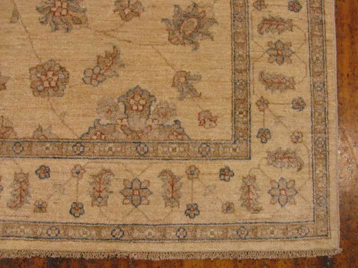 5' x 10' Hand Knotted Peshawar Ziegler Oriental Runner Rug