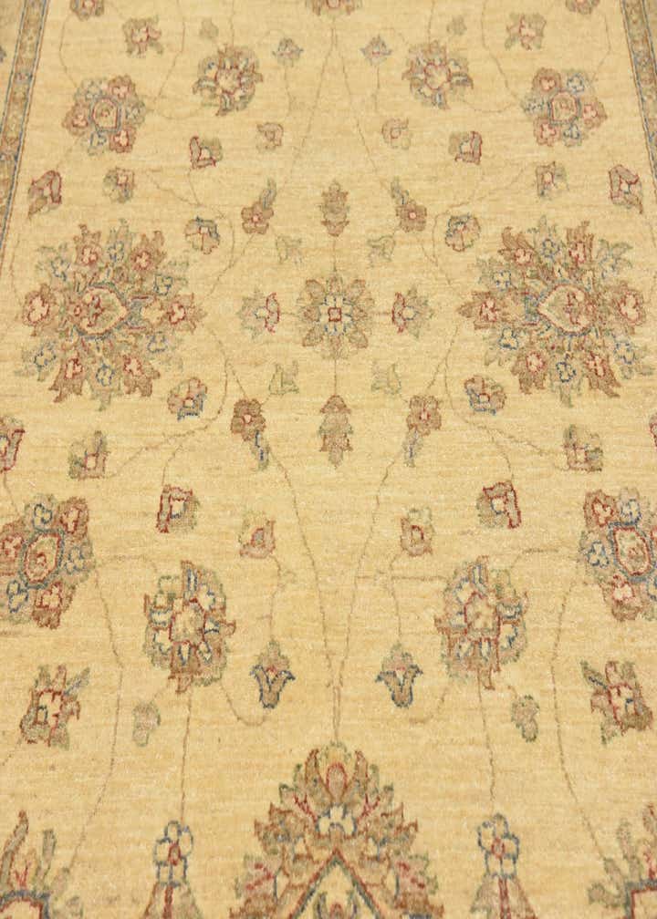 5' x 10' Hand Knotted Peshawar Ziegler Oriental Runner Rug